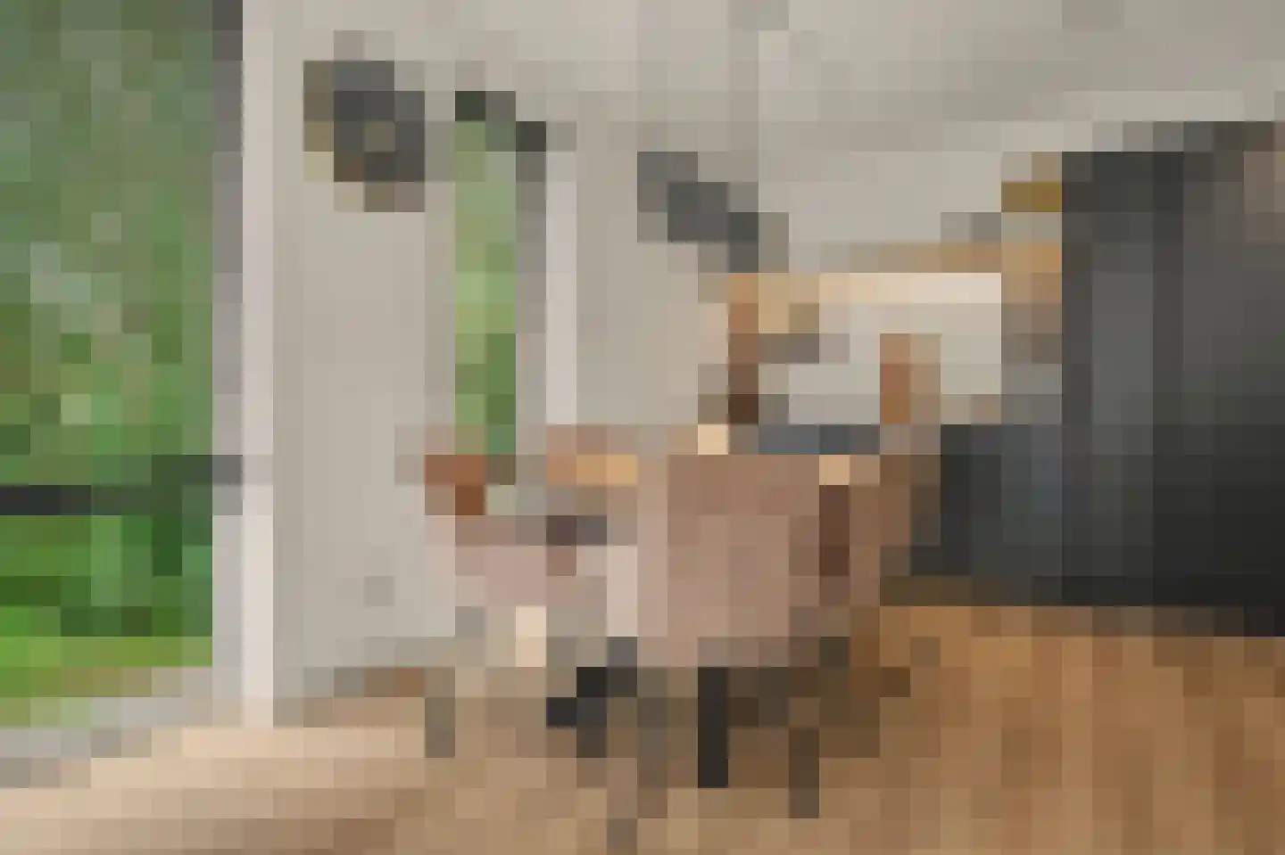 Vlielandstraat 1 B2 Breda thumbnail 11