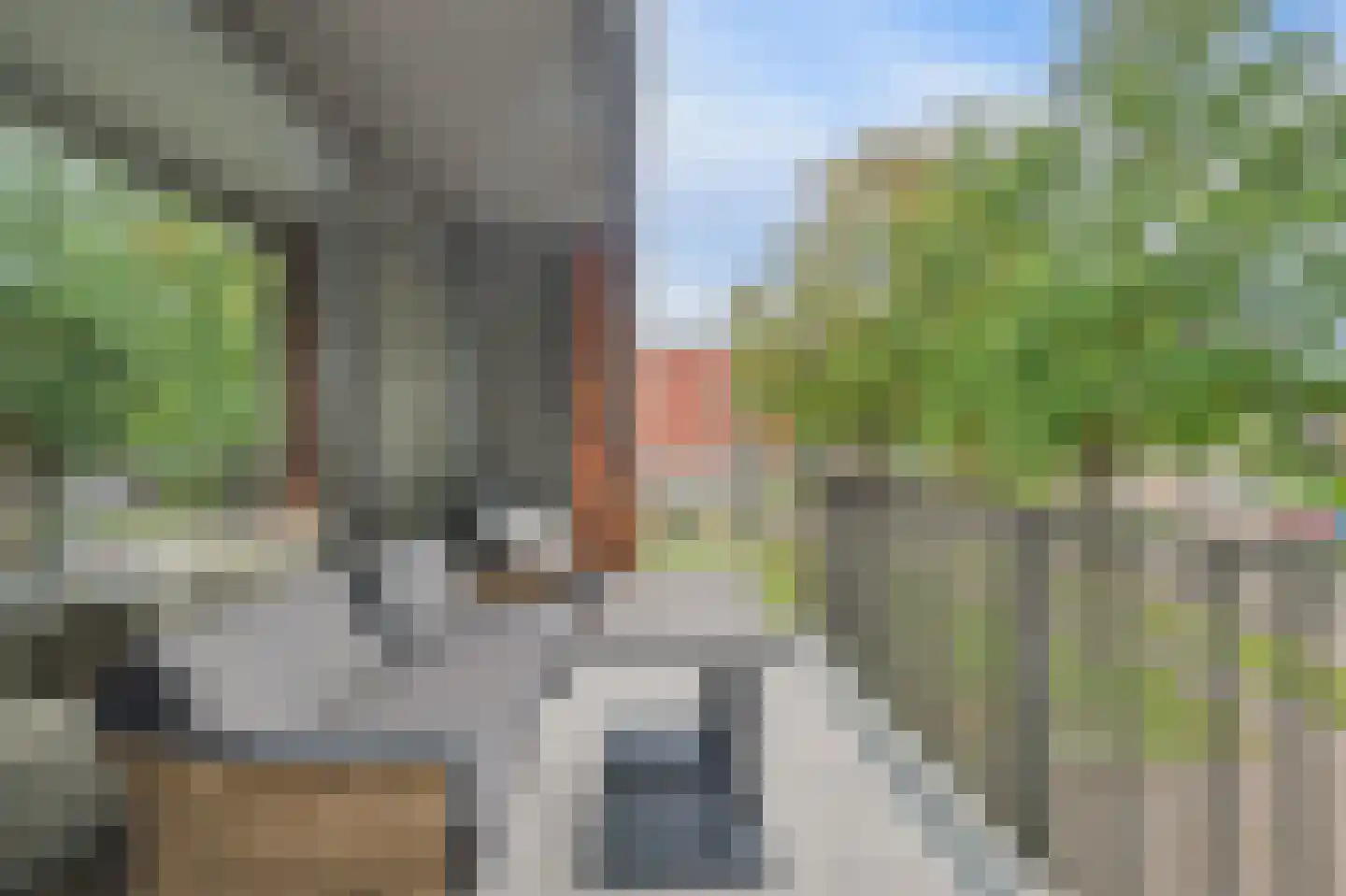 Vlielandstraat 1 B2 Breda thumbnail 27