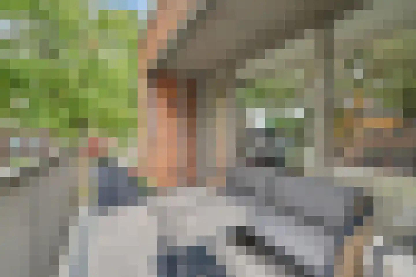 Vlielandstraat 1 B2 Breda thumbnail 28