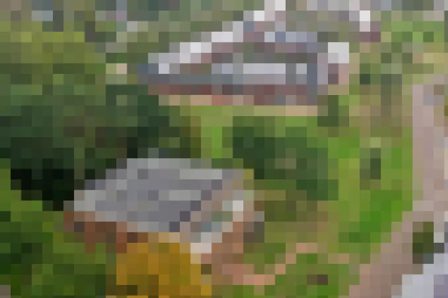Vlielandstraat 1 B2 Breda thumbnail 40