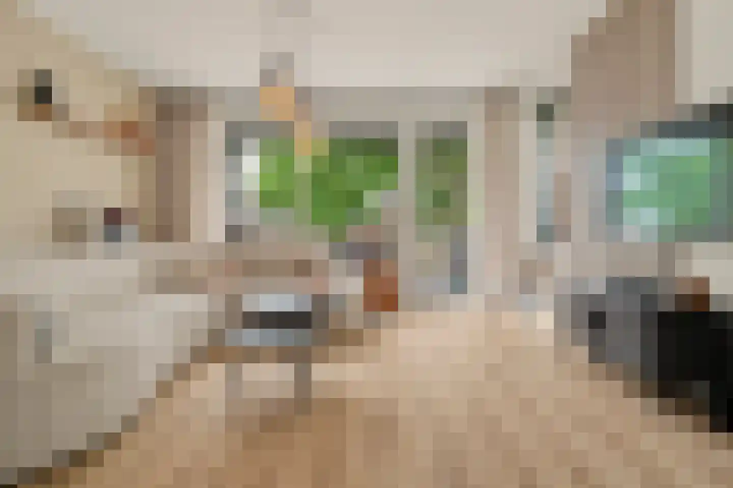 Vlielandstraat 1 B2 Breda thumbnail 7