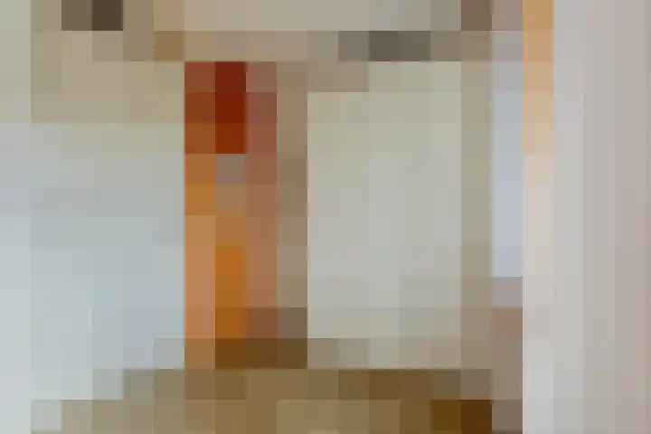 Vlielandstraat 10 Breda thumbnail 22