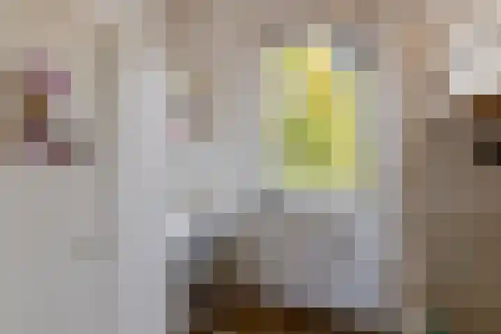 Vlielandstraat 10 Breda thumbnail 24