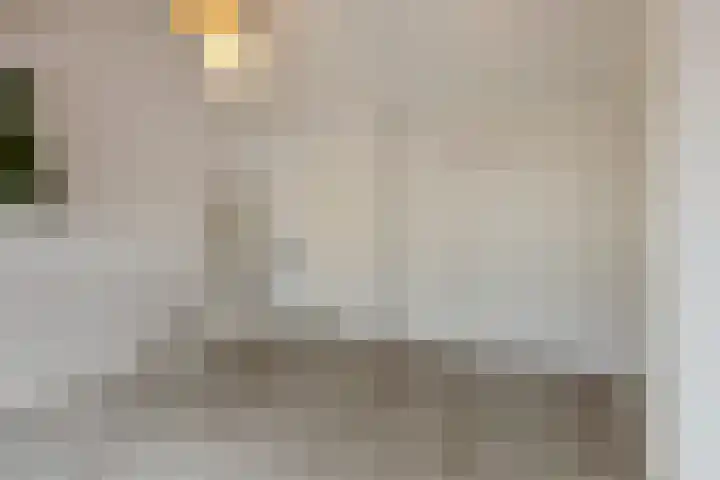Vlielandstraat 10 Breda thumbnail 34