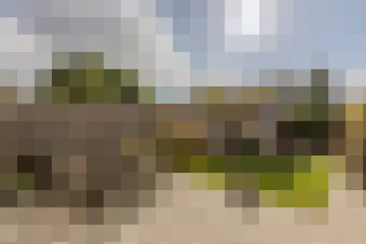 Vlielandstraat 10 Breda thumbnail 39