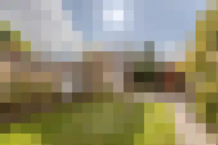 Vlielandstraat 10 Breda thumbnail 40