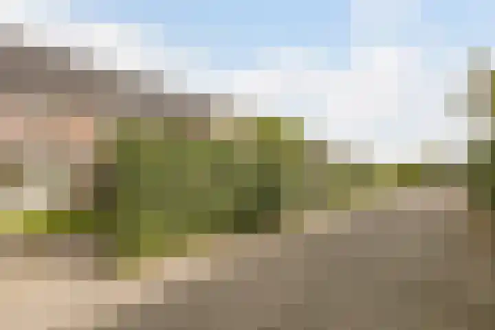 Vlielandstraat 10 Breda thumbnail 44