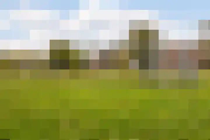 Vlielandstraat 10 Breda thumbnail 51