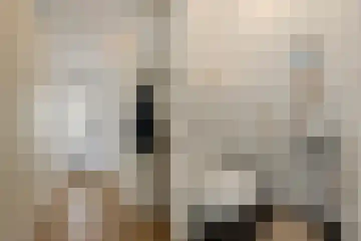 Vlielandstraat 10 Breda thumbnail 6