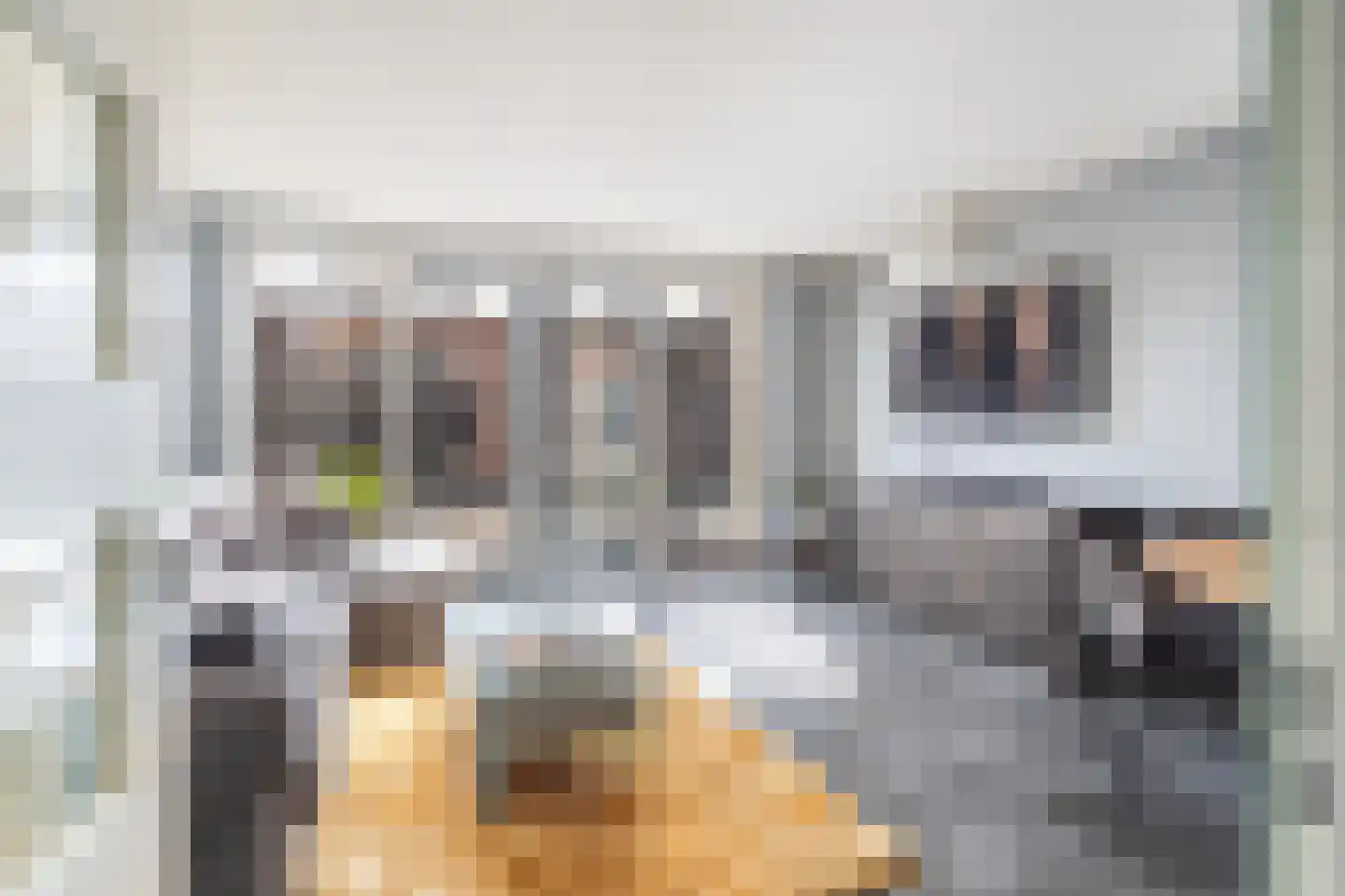 Vlielandstraat 21 Gouda thumbnail 10
