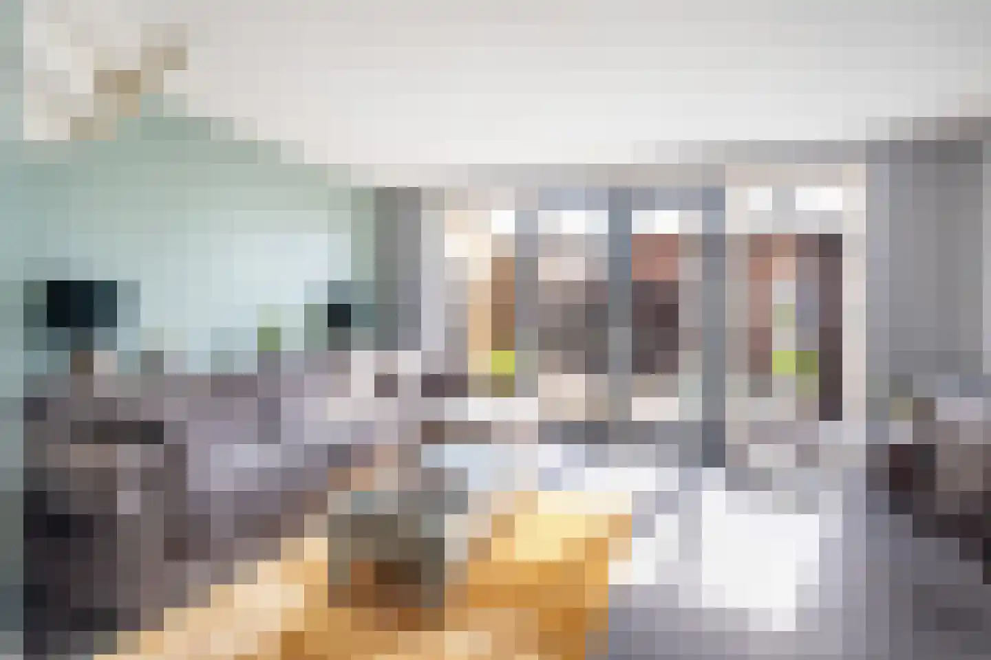 Vlielandstraat 21 Gouda thumbnail 11