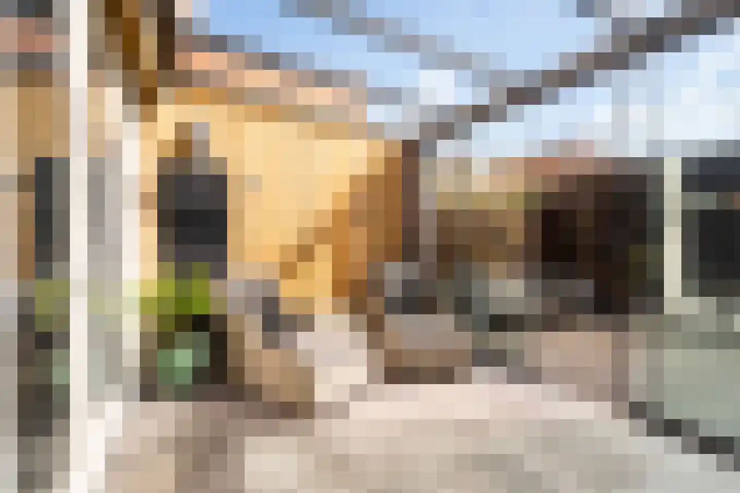 Vlielandstraat 21 Gouda thumbnail 22