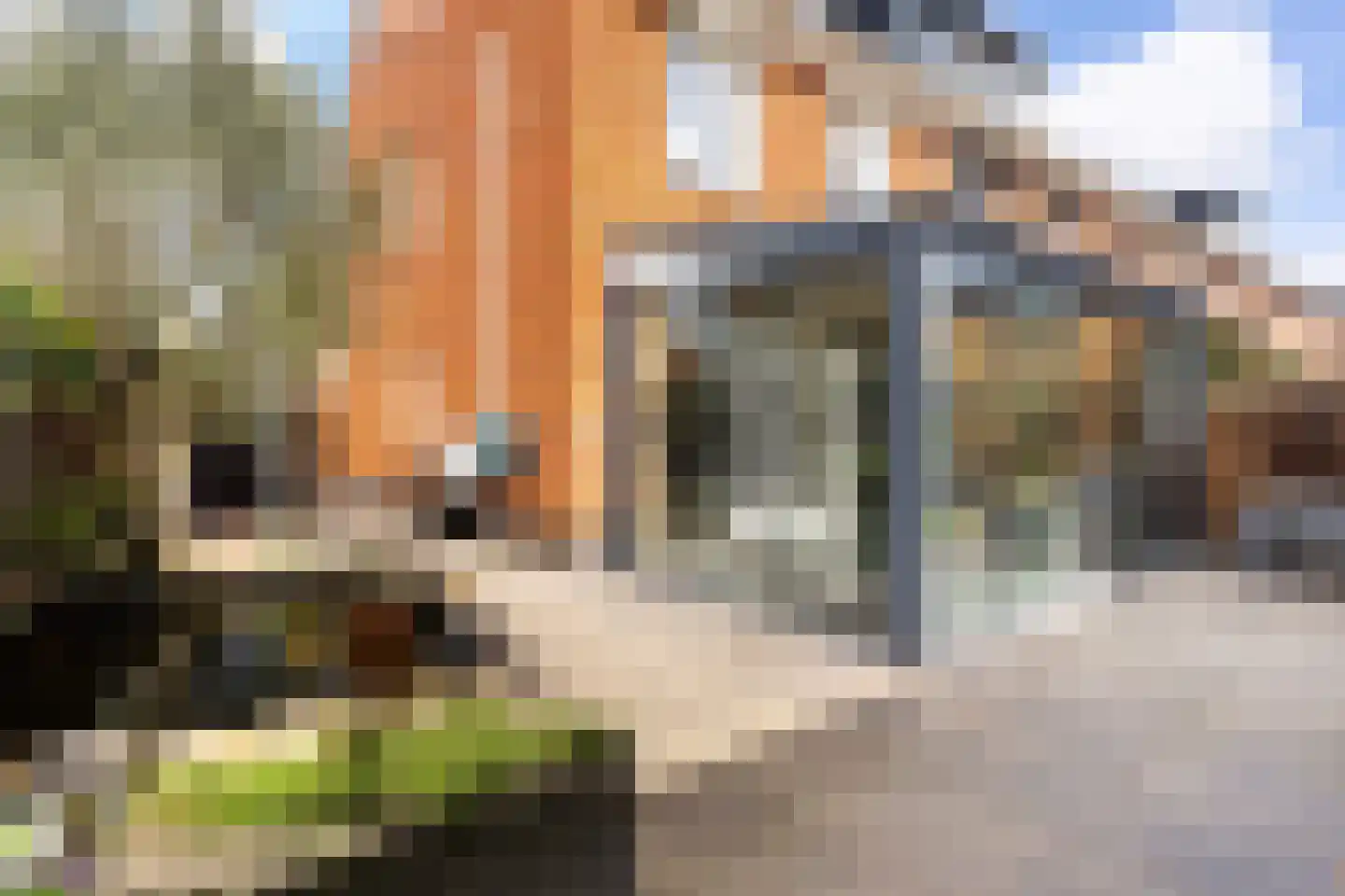 Vlielandstraat 21 Gouda thumbnail 24