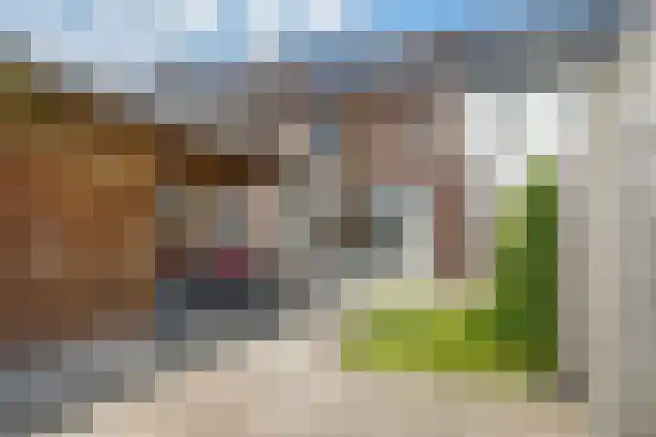Vlielandstraat 36 Breda thumbnail 33