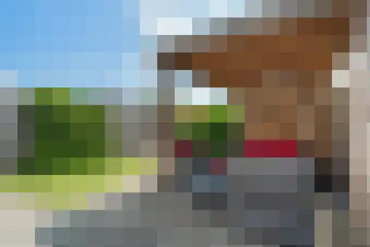 Vlielandstraat 36 Breda thumbnail 36