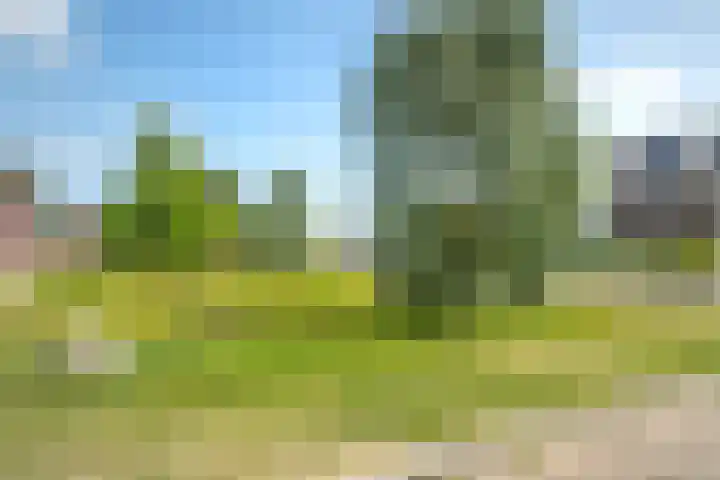 Vlielandstraat 36 Breda thumbnail 41