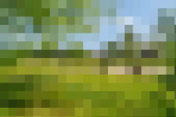 Vlielandstraat 36 Breda thumbnail 43