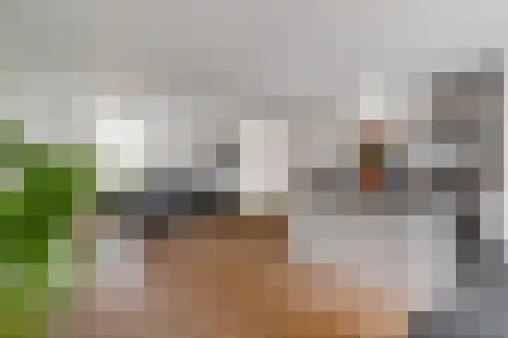 Vlielandstraat 36 Breda thumbnail 8