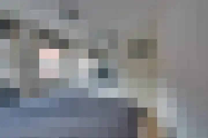 Vlielandstraat 4 Amsterdam thumbnail 34