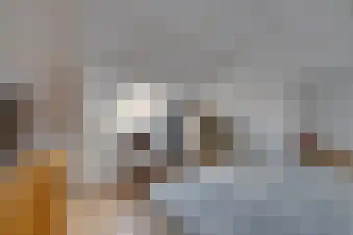 Vlielandstraat 4 Amsterdam thumbnail 47