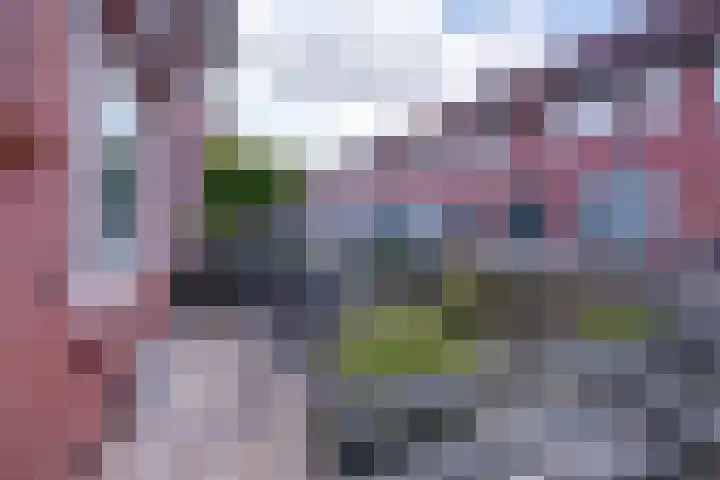 Vlielandstraat 4 Amsterdam thumbnail 7