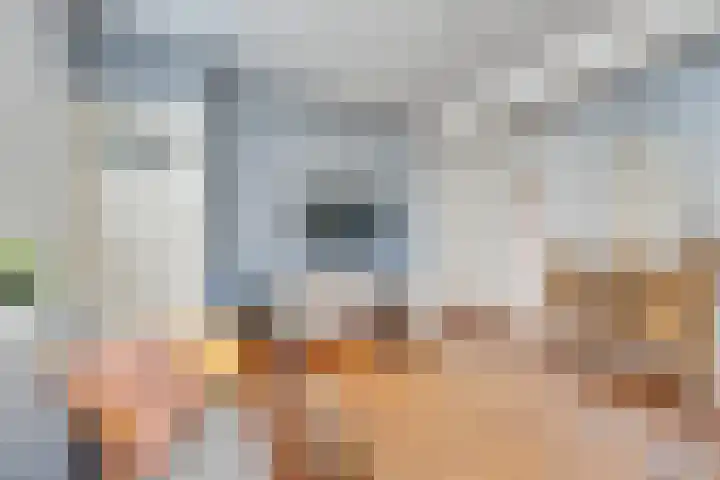 Vlielandstraat 4 Amsterdam thumbnail 9