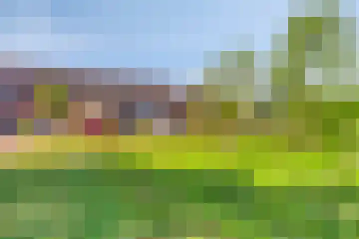 Vlielandstraat 44 Breda thumbnail 30
