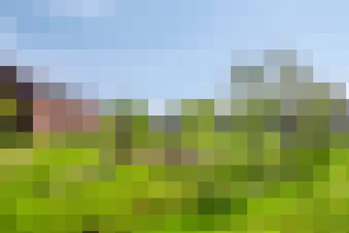 Vlielandstraat 44 Breda thumbnail 31