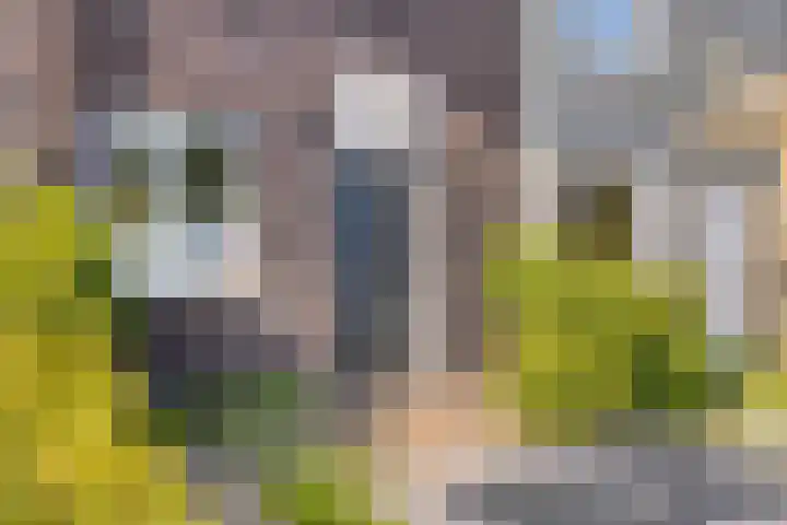 Vlielandstraat 44 Breda thumbnail 5
