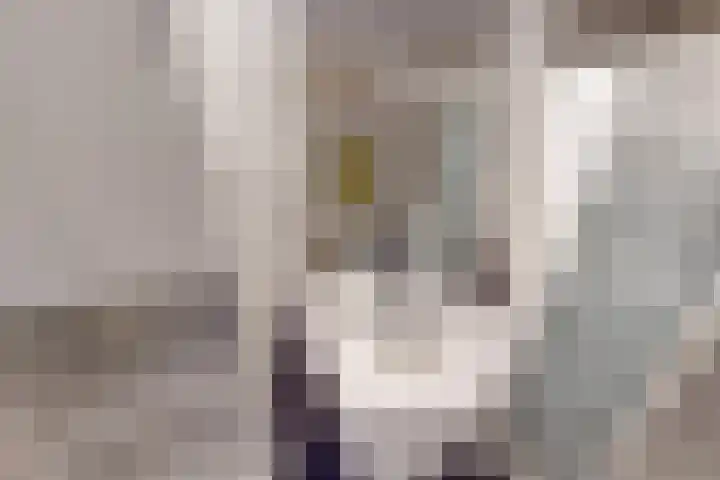 Vlielandstraat 7 Alkmaar thumbnail 41