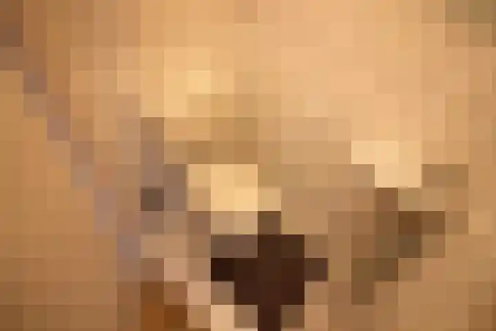 Vlielandstraat 7 Alkmaar thumbnail 8