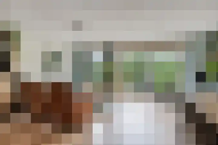 Vlier 11 Poortugaal thumbnail 12