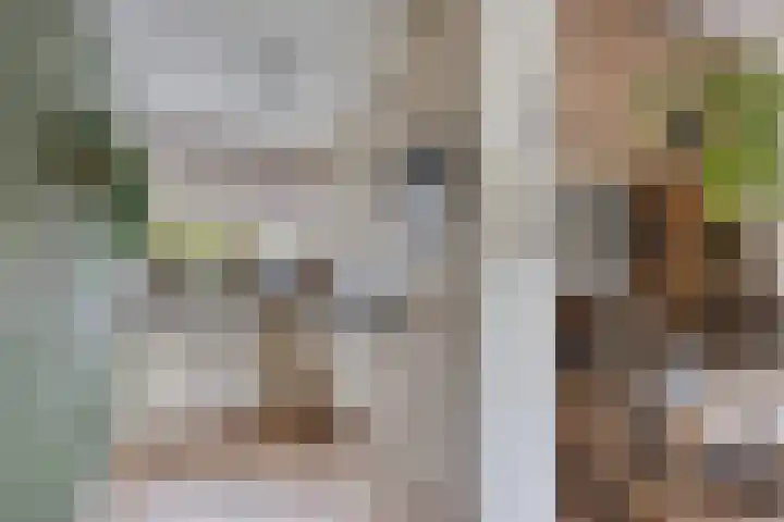 Vlier 11 Poortugaal thumbnail 13
