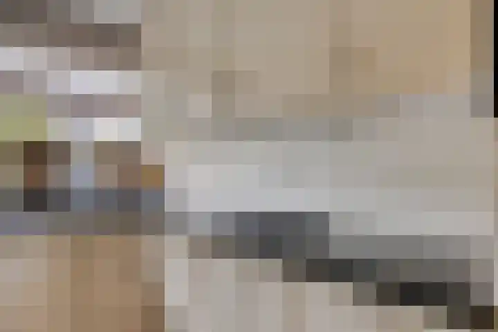 Vlier 11 Poortugaal thumbnail 15
