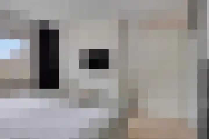 Vlier 11 Poortugaal thumbnail 19