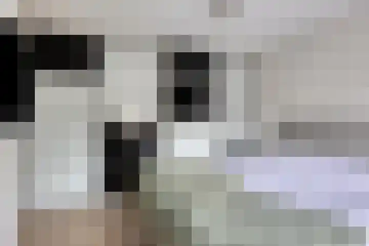 Vlier 11 Poortugaal thumbnail 20