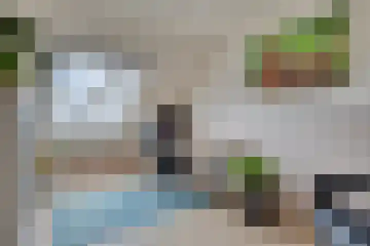 Vlier 11 Poortugaal thumbnail 21