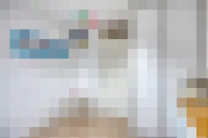 Vlier 11 Poortugaal thumbnail 24