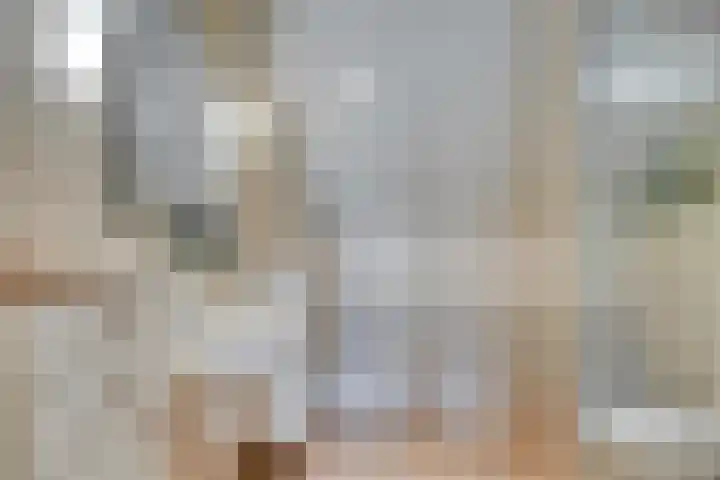 Vlier 11 Poortugaal thumbnail 25