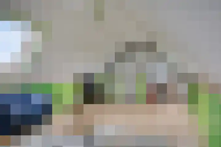 Vlier 11 Poortugaal thumbnail 29