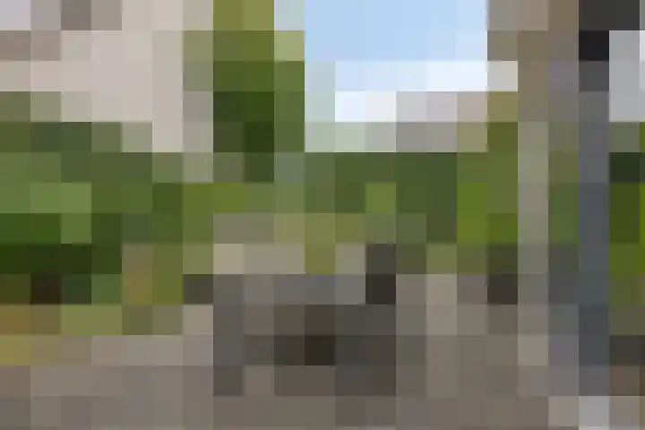 Vlier 11 Poortugaal thumbnail 30