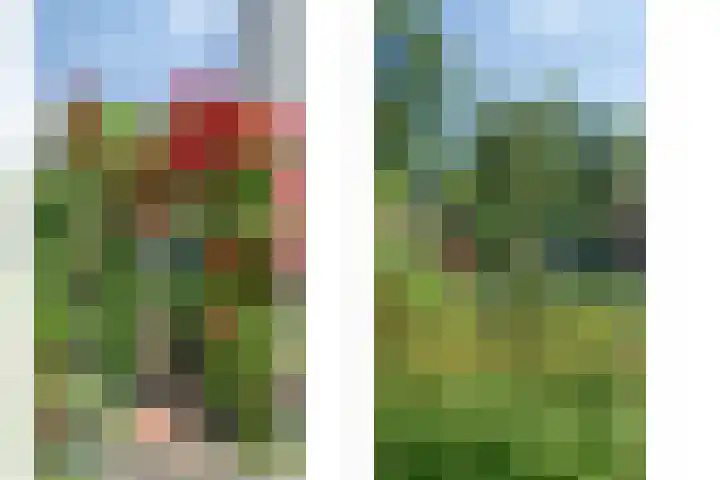 Vlier 11 Poortugaal thumbnail 31