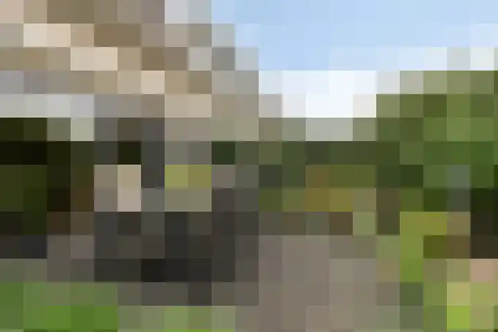Vlier 11 Poortugaal thumbnail 32