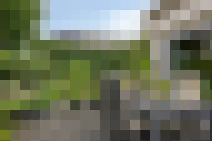 Vlier 11 Poortugaal thumbnail 33
