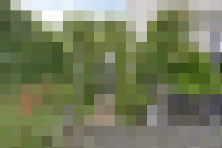 Vlier 11 Poortugaal thumbnail 34