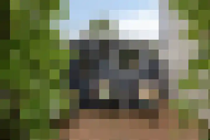 Vlier 11 Poortugaal thumbnail 35