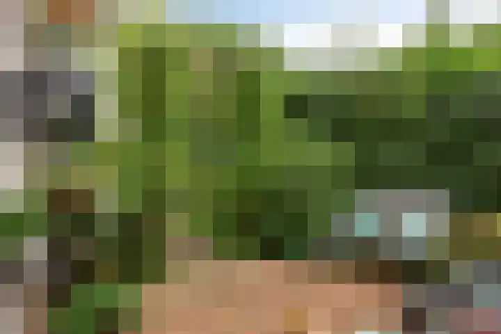 Vlier 11 Poortugaal thumbnail 36