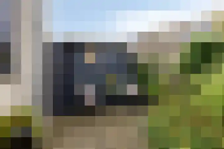 Vlier 11 Poortugaal thumbnail 37
