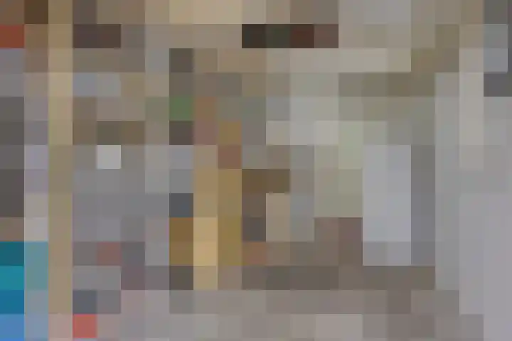 Vlier 11 Poortugaal thumbnail 38