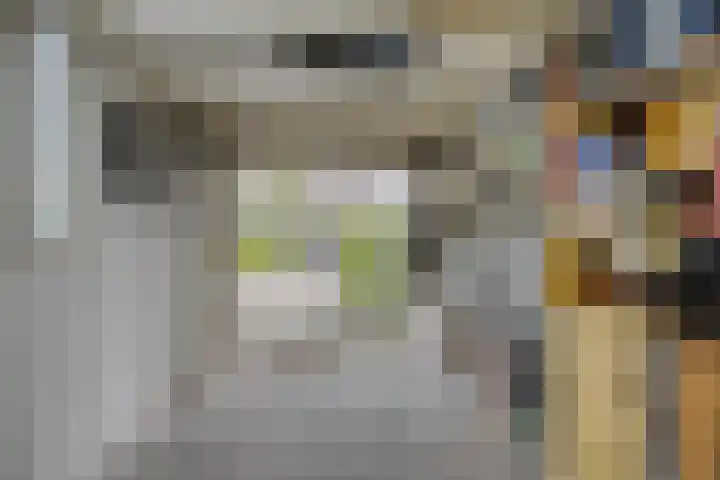 Vlier 11 Poortugaal thumbnail 39